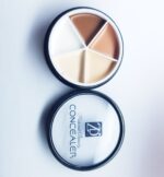 Pro Perfection Concealer