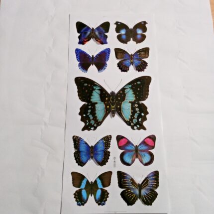 Butterfly 3D Wallsticker FD-AC005