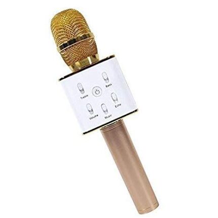 Q7 MIC '2