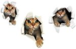 3PCS 3D Cats Wall Sticker Cartoon Animal Hole View Decals Removable DIY Decoration Pet Love for Baby Kids Nursery Room Kitchen Living Room Bedroom Bathroom size 50x70 sk6071 - Image 5
