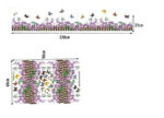 SYGA Purple Butterfly Flower Fence Skirting Line Decals Design Wall Stickers  size 50x70 ay756 - Image 3