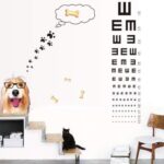 SHOWERORO 2pcs Wall Stickers Merch Kids Eye Chart Wall Sticker Ay6023 - Image 2