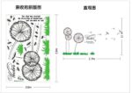 Dandelion DIY Wall Sticker Living Room Model AY937 - Image 5