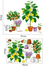 Creative new fruit tree potted Xh9304 - Image 6