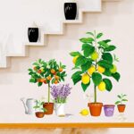 Creative new fruit tree potted Xh9304 - Image 3