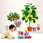 Creative new fruit tree potted Xh9304 - Image 5