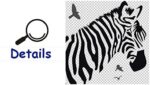 DNVEN 35 inches x 35 inches Zebra Head Black and White Wild Vinyl Wall Sticker Zebra Wall Decals Animal Print Home Murals Decor for Bedrooms Living Rooms - Image 5