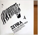 DNVEN 35 inches x 35 inches Zebra Head Black and White Wild Vinyl Wall Sticker Zebra Wall Decals Animal Print Home Murals Decor for Bedrooms Living Rooms - Image 2