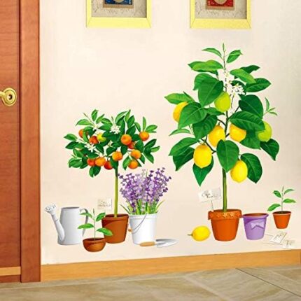 Creative new fruit tree potted Xh9304