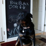 Reusable Self-Adhesive Chalkboard Wall Decal - Easy Erase, Durable PE Material for Home & Office Use, Black/Green -size:1.35feet wide x6 feet long 45x200cm - Image 4