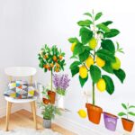 Creative new fruit tree potted Xh9304 - Image 2