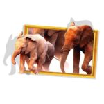 Ketsicart PVC Elephant Pattern Household DIY Self-Adhesive Wall Sticker Wallpaper Decal - Image 2