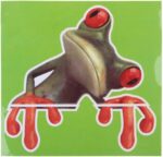 1Pcs Toilet Lid Covers Sticker Green Frog Funny Bathroom Toilet Seats Decorative Decal Car Toilet Seat Sticker Toilet Seat Clear 17cm x 18cm - Image 4