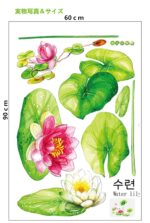 Vinyl Water Lily Flower Wall Sticker - Image 7
