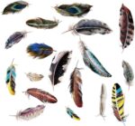 Lichi DIY Dream Feathers Wall Sticker for Home Room Decor size 50x70 sk7086 - Image 5