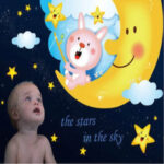 ABM Wholesale - Wall Stickers / Wall Sticker / Wallsticker / Wall Decoration / Kids Sticker / Children's Sticker / Wall Sticker  size 60x90 ay9244 - Image 3