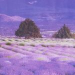 ay9234b Large Lavender Mountain 3D Window Scene View Removable Wall Sticker Decal - Image 2