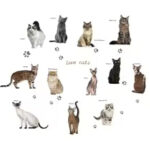 3D Lovely Cat Type Wall Sticker Cabinet Bedroom Home Decor Decals Self-adhesive Poster Background Cute Combination Mural size 50x70 sk7084 - Image 4