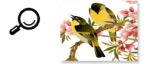 2015 Sale Real Sticker On The Wall Ay7207 Garden Living Room Bedroom Tv Wall Background Decoration Removable Paster of of Xy8008 - Image 12