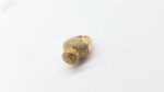 Golden Zercoon beautiful Ring - Image 5