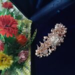 Beautiful hair Clip