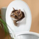 Cortina Dark Cat Black Art Theme Wall Sticker - Image 3