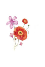 Poppy Wall Sticker, Flower, Leaf, Flower Sticker, Interior Sticker size 60x90 jm8237 - Image 3