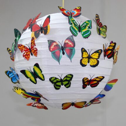 Pack Of 4 Magnetic Butterfly Multicolor