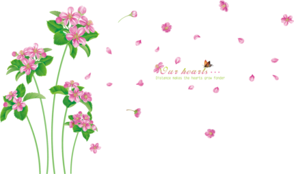 Wall Sticker XL-8136
