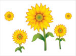 Sunflowers Stiker Dinding / Wall Sticker Ay125a - Image 3