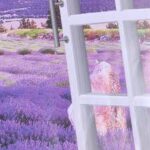 ay9234b Large Lavender Mountain 3D Window Scene View Removable Wall Sticker Decal - Image 9
