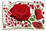 UNIVERSAL XL8178 new removable wall stickers romantic red rose living room bedroom home wedding house decoration murals-Red - Image 8