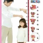 Ay6037  Stickers One Piece Anime 3D Vinyl Wall Decals for Kids Rooms - Image 3