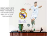 Famous soccer player James Rodriguez wall sticker (Finished size on wall - 95(w) X 110(h) cm) Self Adhesive Sticker - Image 4
