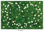 Royals 90 cm Green Grass Wall Stickers Sk9175 - Image 3