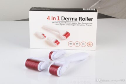DERMA ROLLER 4 IN 1 '2