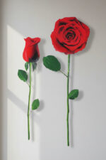 RED ROSE WALL DECAL REMOVABLE 24" x 13" WASHABLE CAN REPOSITION new SEE PICS - Image 2