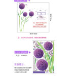 WALL STICKER BUNGA DANDELION UNGU PURPLE FLOWER STIKER DINDING SK9124 - Image 2